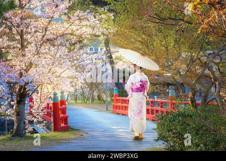 Kyoto, Japan - 1. April 2023: Präfekturaler Uji Park mit voller Kirschblüte ist das Symbol der Stadt Uji mit schöner Landschaft der Stadt und PR Stockfoto