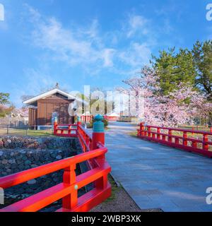 Kyoto, Japan - 1. April 2023: Präfekturaler Uji Park mit voller Kirschblüte ist das Symbol der Stadt Uji mit schöner Landschaft der Stadt und PR Stockfoto