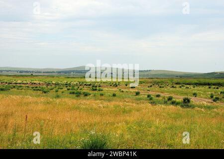 Flache Steppe mit hohem gelblichem Gras und niedrigen Büschen am Fuße einer Reihe von Hügeln unter bewölktem Himmel. Chakassia, Sibirien, Russland. Stockfoto