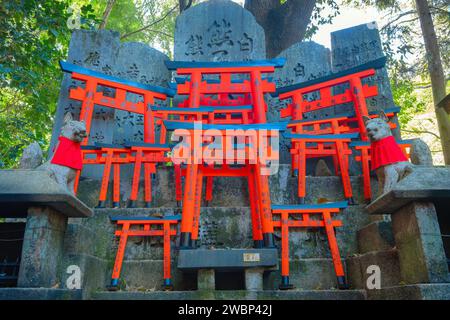 Kyoto, Japan - 1. April 2023: Fushimi Inari-taisha, erbaut im Jahr 1499, ist es das Symbol eines Weges, der von Tausenden von Torii-Toren mit malerischer, voller Blüte gesäumt ist Stockfoto