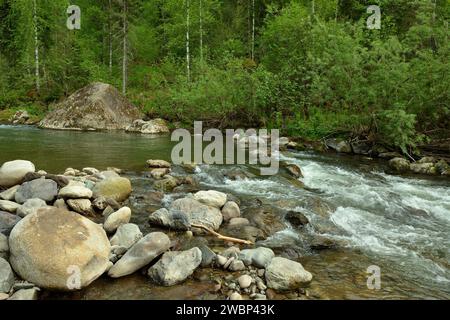 Riesige Steine blockieren das Bett eines kleinen Flusses, bilden eine Kaskade und Rückwasser, das morgens durch den Sommerwald fließt. Iogach, Altai, SIB Stockfoto