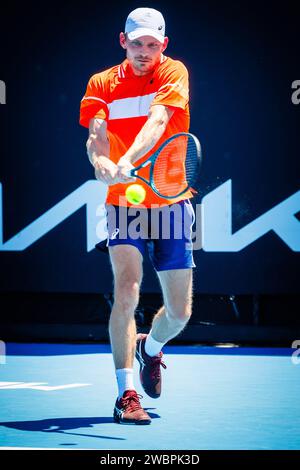 Melbourne, Australien. Januar 2024. Der belgische David Goffin wurde während eines Spiels der dritten und letzten Runde der Qualifikationsspiele zwischen Belgier Goffin und Kanadier Diallo beim Grand Slam-Tennisturnier der Australian Open am Freitag, den 12. Januar 2024 in Melbourne Park, Australien, gezeigt. Die Ausgabe 2024 des Australian Grand Slam findet vom 14. Bis 28. Januar statt. BELGA FOTO PATRICK HAMILTON Credit: Belga News Agency/Alamy Live News Stockfoto