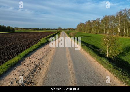 Dieses Bild zeigt eine gerade Landstraße, die die kontrastreiche Landschaft trennt: Auf der einen Seite befindet sich ein gepflügtes Feld, das bereit zum Anpflanzen ist, was auf die landwirtschaftliche Tätigkeit hinweist, die das Gebiet definiert; auf der anderen Seite liegt eine üppige grüne Wiese, die an eine Baumlinie grenzt und einen natürlichen, ungestörten Lebensraum darstellt. Die Straße selbst, die wahrscheinlich für den lokalen Verkehr genutzt wird, erstreckt sich in die Ferne und führt den Blick des Betrachters dazu, die ländliche Weite zu erkunden. Der klare blaue Himmel und der Winkel der Sonne deuten auf den frühen Morgen oder den späten Nachmittag hin, Zeiten, in denen das Licht weich und die Schatten lang sind, verstärken sich Stockfoto