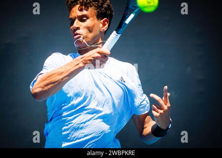 Melbourne, Australien. Januar 2024. Der Kanadier Gabriel Diallo zeigte sich in Aktion während eines Spiels der dritten und letzten Runde der Qualifikationsspiele zwischen dem belgischen Goffin und dem kanadischen Diallo beim Grand Slam-Tennis-Turnier der Australian Open am Freitag, den 12. Januar 2024 in Melbourne Park, Australien. Die Ausgabe 2024 des Australian Grand Slam findet vom 14. Bis 28. Januar statt. BELGA FOTO PATRICK HAMILTON Credit: Belga News Agency/Alamy Live News Stockfoto