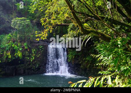 Üppige Haipua'ena Falls eingebettet in Mauis lebhaften Regenwald, eine malerische hawaiianische Oase. Stockfoto