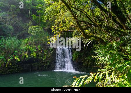 Üppige Haipua'ena Falls eingebettet in Mauis lebhaften Regenwald, eine malerische hawaiianische Oase. Stockfoto