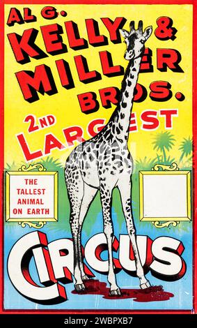 Al G. Kelly & Miller Bros. Zirkus-Poster (Al G. Kelly & Miller Bros., 1950er) Circus Window Card feat the Tallest Animal on Earth – A Giraffe Stockfoto