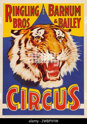 Zirkusplakat (Ringling Brothers and Barnum & Bailey, 1930er) mit einem brüllenden Tiger Stockfoto