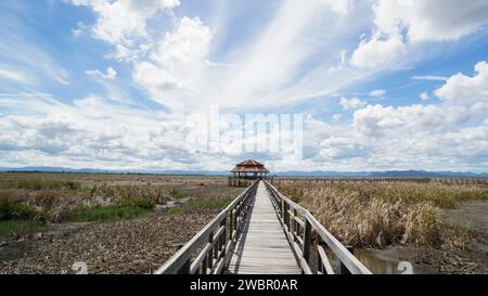 Schöner Waldweg im Sam ROI Yot Freshwater Marsh oder Bueng Bua Khao Sam ROI Yot Nationalpark in Thailand. Boardwalk Bridge. Im Sommer die Groun Stockfoto