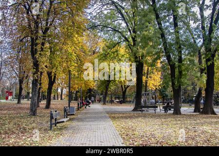 Ein von Bäumen gesäumter Pfad windet sich durch einen Herbstpark mit gefallenen Blättern und Bänken. Stockfoto