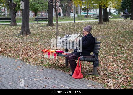 Ältere Frau, die sich im öffentlichen Stadtpark entspannt, indem sie häkeln und Wollteile für den Verkauf herstellt, schönes Ruhestand-Hobby an der frischen Luft im Freien Stockfoto