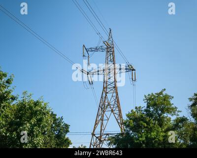 Ein Hochspannungsmast erhebt sich über den Bäumen gegen den Himmel. Stockfoto