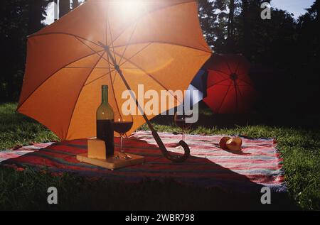 Picknickdecke mit köstlichem Essen und Wein im Park an sonnigen Tagen Stockfoto