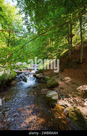 Der Schypitwasserstrom des Pylypets-Flusses im Buchenwald der karpaten. Landschaft mit kleinen Kaskaden und Steinen. Sonniger Morgen im Sommer Stockfoto
