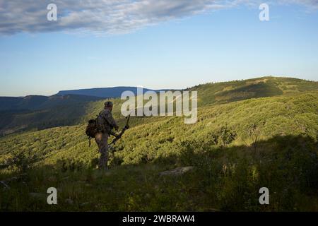 Elchjagd in Colorado Stockfoto