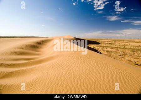 Moltzog Els, Sanddünen, Wüste Gobi, Mongolei Stockfoto