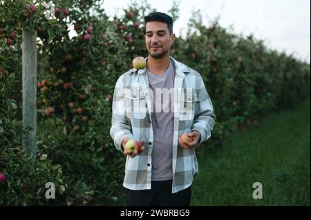 Junger Mann, der im Herbst Äpfel im Apfelgarten jongliert Stockfoto