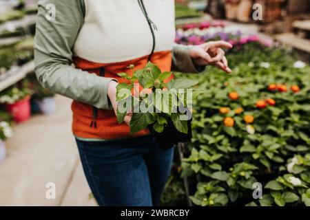 Nahaufnahme einer Frau, die lantana beim Einkaufen im Gewächshaus hält Stockfoto