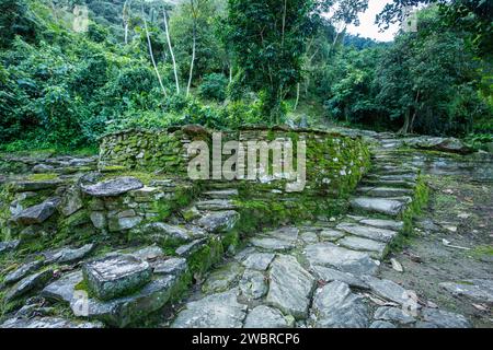 Versteckte antike Ruinen der Tayrona Zivilisation Ciudad Perdida im Herzen des kolumbianischen Dschungels verlorene Stadt Teyuna. Santa Marta, Sierra Nevada Mount Stockfoto