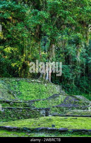 Versteckte antike Ruinen der Tayrona Zivilisation Ciudad Perdida im Herzen des kolumbianischen Dschungels verlorene Stadt Teyuna. Santa Marta, Sierra Nevada Mount Stockfoto