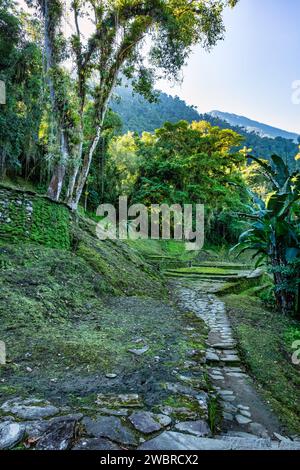 Versteckte antike Ruinen der Tayrona Zivilisation Ciudad Perdida im Herzen des kolumbianischen Dschungels verlorene Stadt Teyuna. Santa Marta, Sierra Nevada Mount Stockfoto