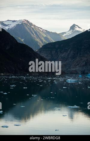 Schwimmendes Gletschereis im Tracy Arm Fjord nahe Hobart Alaska Stockfoto