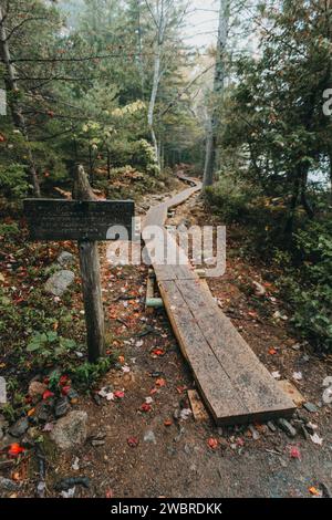 Jordan Pond Path Trailhead im Acadia-Nationalpark im Herbst Stockfoto