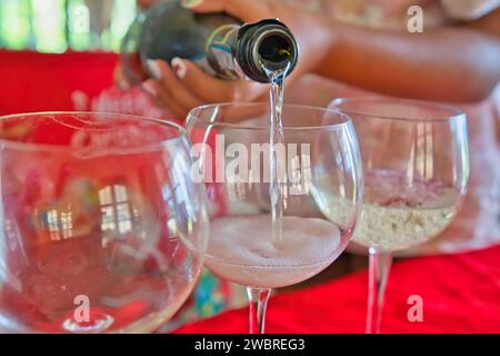 Frau, die während der Weihnachtszeit Prosecco-Sekt in Gläser gießt Stockfoto