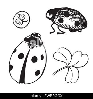 Marienkäfer auf einem Kleeblatt mit Glücksschrift Stock Vektor