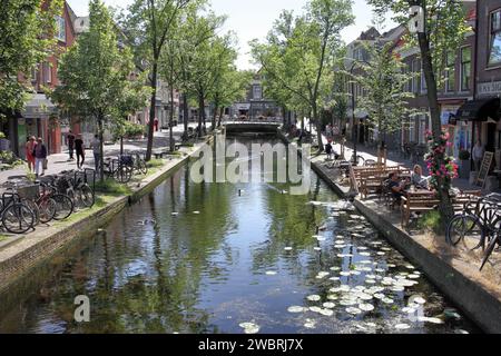 Molslaan, eine von Bäumen gesäumte Fußgängerzone auf beiden Seiten eines Kanals, am Rande des Stadtzentrums von Delft. Stockfoto