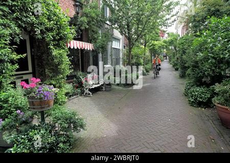 Üppige Vegetation (und Radfahrer) auf einer engen, verkehrsfreien Seitenstraße in Haarlem, Niederlande. Stockfoto