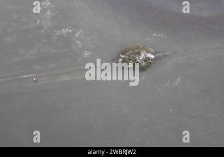 Nidderau Eichen, Deutschland. Januar 2024. Ein Weißstorch fliegt über eine vom Hochwasser des Nidders überflutete Landschaft bei Eichen, die durch die frostigen Nächte der letzten Tage zu einer eisigen Oberfläche geworden ist. Vermerk: Arne Dedert/dpa/Alamy Live News Stockfoto