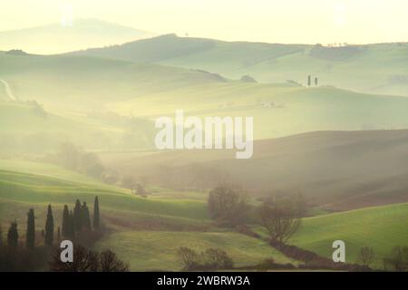 Die sanften Hügel der Toskana im frühen Morgenlicht. Stockfoto
