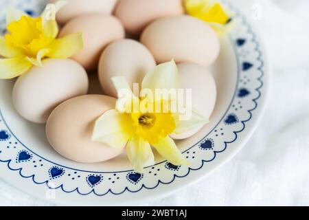 Frische Eier und Narzissen auf einem dekorativen Teller, symbolisiert Frühling oder Ostern. Die Platte ist weiß mit einem blauen Muster um den Rand in Form von HE Stockfoto