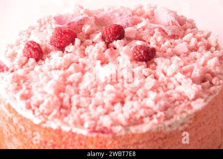 Ein rosa Kuchen mit Baiser bröckelt, Himbeeren, und zuckerhaltigen Rosenblätter. Stockfoto