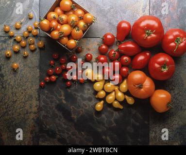 Rebsorten reifer Kirschtomaten auf dunklem Hintergrund Stockfoto