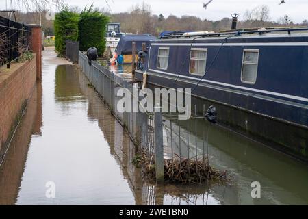 Cookham, Großbritannien. Januar 2024. Das Hochwasser auf dem Themsepfad in Cookham Berkshire beginnt nach einer schweren Überschwemmung des Dorfes Cookham diese Woche wieder zurückzugehen. Quelle: Maureen McLean/Alamy Live News Stockfoto