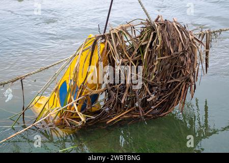 Cookham, Großbritannien. Januar 2024. Die Folgen der Überschwemmungen an der Themse in Cookham, Berkshire. Quelle: Maureen McLean/Alamy Live News Stockfoto