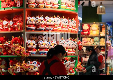 Peking, chinesische Provinz Guizhou. Januar 2024. Verbraucher wählen Waren in einem Supermarkt im Bezirk Congjiang, Provinz Guizhou im Südwesten Chinas, 12. Januar 2024. Im Jahr 2023 stieg Chinas Verbraucherpreisindex (VPI) um 0,2 Prozent, sagte das nationale Statistikbüro. Quelle: Luo Jinglai/Xinhua/Alamy Live News Stockfoto