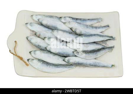 Rohe Smelze auf weißem Hintergrund. Eisfisch. Bereit zum Kochen. Gefrorener Fisch. Stockfoto