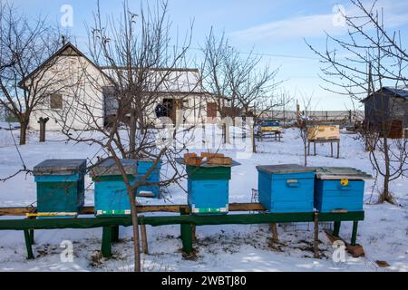 Ländliches kleines Bienenhaus im Winter. Im Garten sind Bienenstöcke installiert Stockfoto