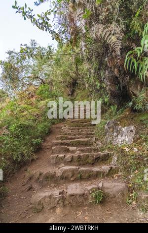 Steintreppen auf dem Pfad/Pfad, der zum Gipfel des Huayna Picchu-Berges bei Machu Picchu in Peru führt Stockfoto