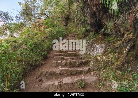 Steintreppen auf dem Pfad/Pfad, der zum Gipfel des Huayna Picchu-Berges bei Machu Picchu in Peru führt Stockfoto