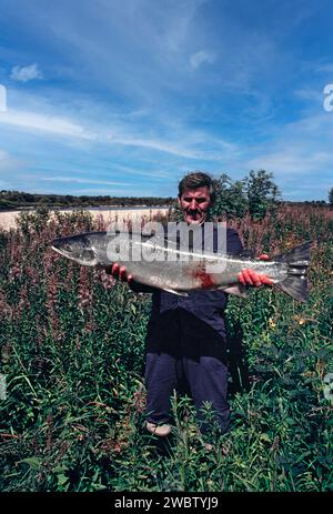 Lachsnetze am Fluss Spey bei Tugnet Fischer mit einem sehr großen Lachs, der in den Netzen gefangen wird Stockfoto
