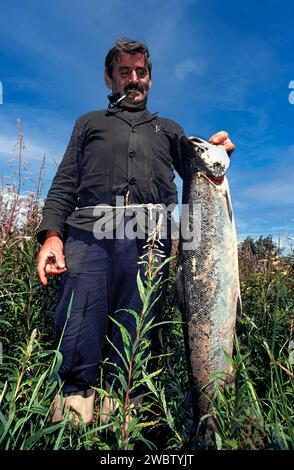 Lachsnetze am Fluss Spey bei Tugnet Fischer mit großen Lachsen, die in den Netzen gefangen werden Stockfoto