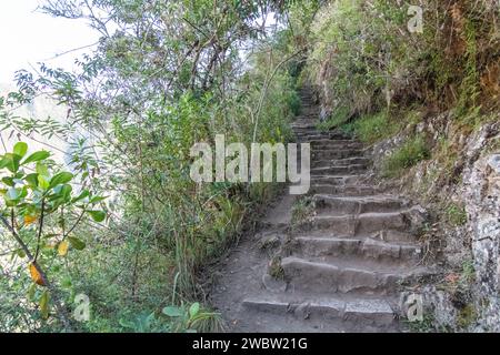 Steintreppen auf dem Pfad/Pfad, der zum Gipfel des Huayna Picchu-Berges bei Machu Picchu in Peru führt Stockfoto