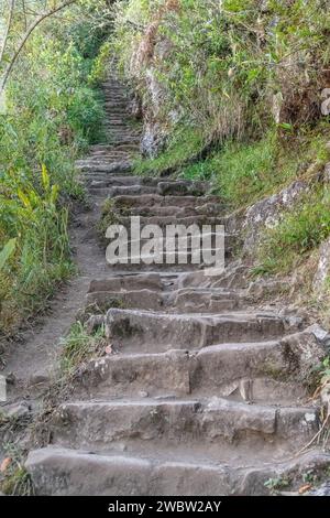 Steintreppen auf dem Pfad/Pfad, der zum Gipfel des Huayna Picchu-Berges bei Machu Picchu in Peru führt Stockfoto