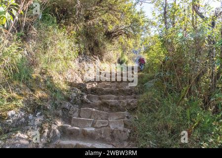 Zwei Touristen, die Steintreppen auf dem Pfad/Pfad hinauf zum Gipfel des Huayna Picchu Berges in Machu Picchu in Peru gehen Stockfoto