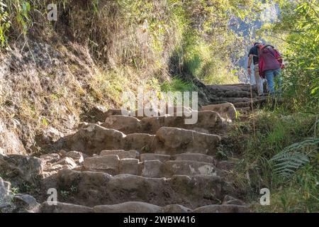 Zwei Touristen, die Steintreppen auf dem Pfad/Pfad hinauf zum Gipfel des Huayna Picchu Berges in Machu Picchu in Peru gehen Stockfoto