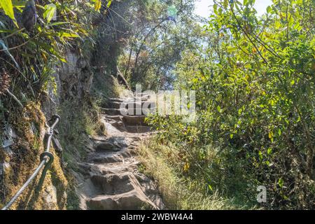 Steintreppen auf dem Pfad/Pfad, der zum Gipfel des Huayna Picchu-Berges bei Machu Picchu in Peru führt Stockfoto